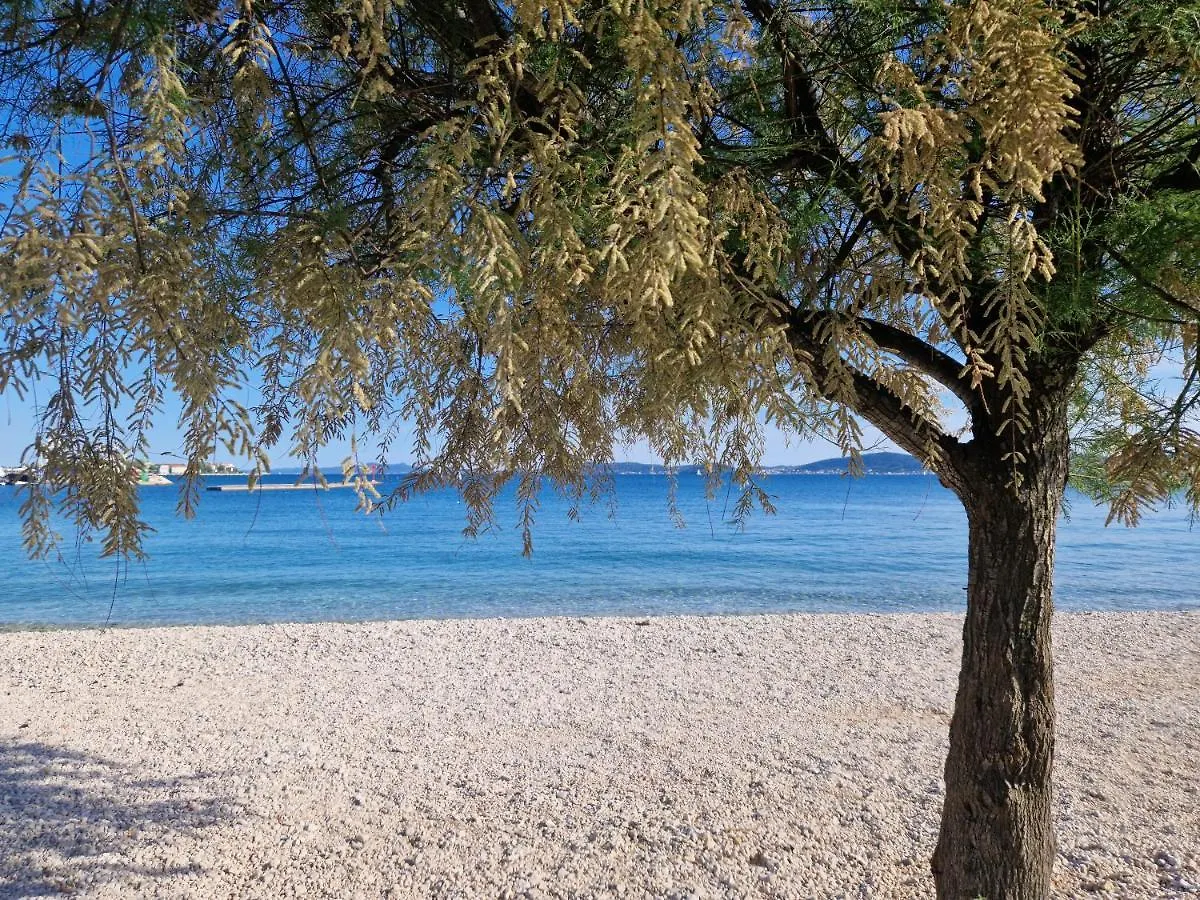 Tea Luxury Apartment Zadar Kroatien